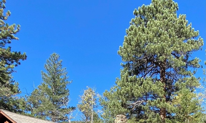 Lyons Cabina | Creekside cabin