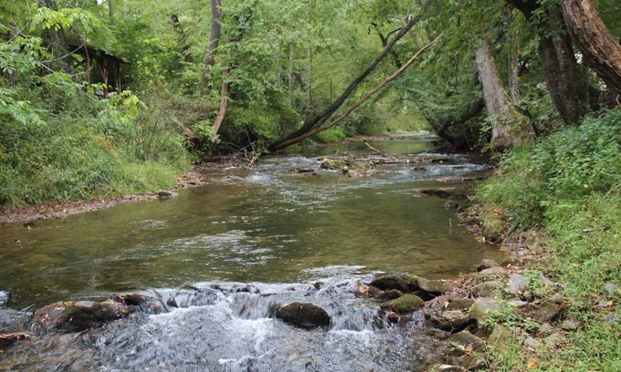 Blue Ridge Cabaña | Creekside Cottage just steps from Fightingtown Creek & 10 minutes from downtown.