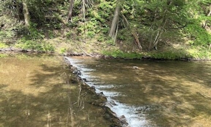 Catawissa Cabaña | Creekside Cottages, Cottage #2, across from Knoebel's Amusement Resort!