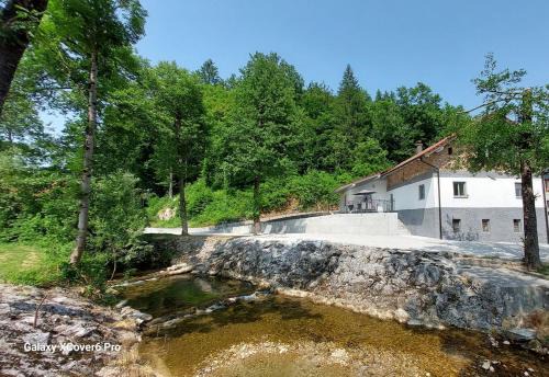 Dane Casa | Creekside House with pool