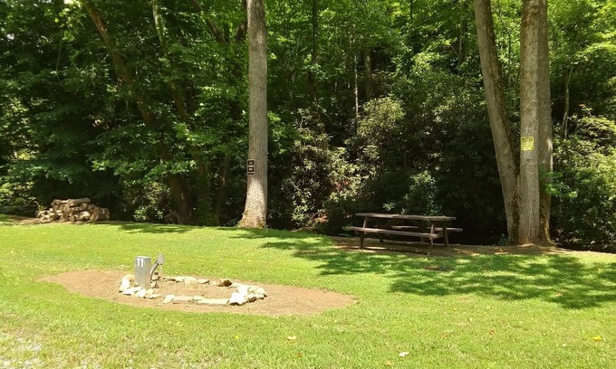 Murphy Alquiler De RV | Creekside, Private property. No crowds. Quiet. Fly fish out your door. RV site