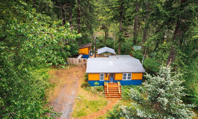 Ashford Cabina | CreeksideCabin at Mt.Rainier dog friendlyFreshOrganicEggs