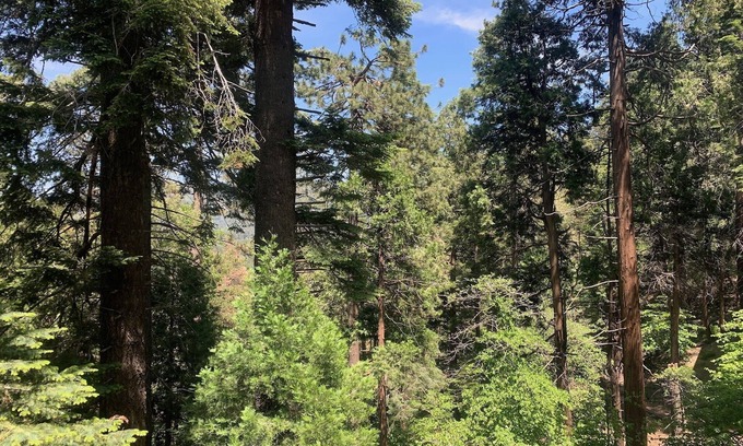 Crestline Cabina | Crestline Blissful Cabin Escape - Private Guest House near Lake!