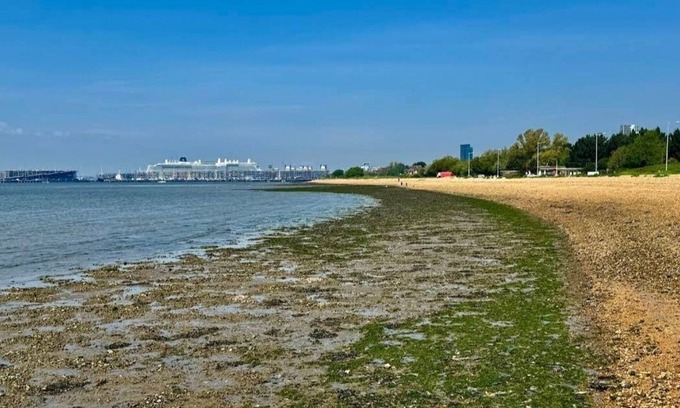 Netley Apartamento | Cruise, Relax, Explore. 2BR Free parking Close to port & S. Coast attractions