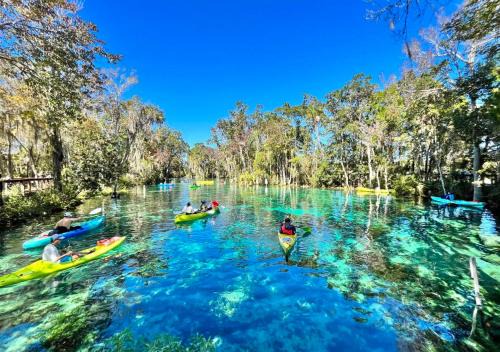 Crystal River Casa | Crystal River Retreat with Salt Water Pool