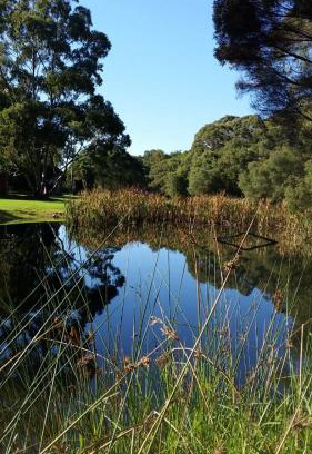 North Walpole Casa | Crystal Springs Holiday Accommodation