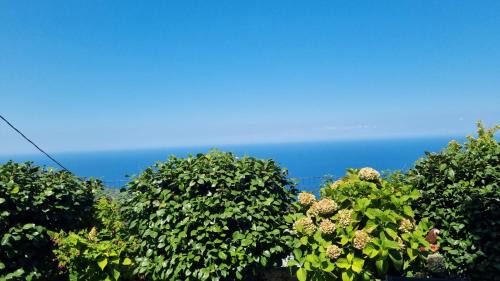 Mouresi Apartamento | Crystalias country house