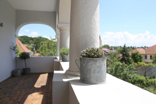 Mad Casa | Csodarabbik Útja Fogadó