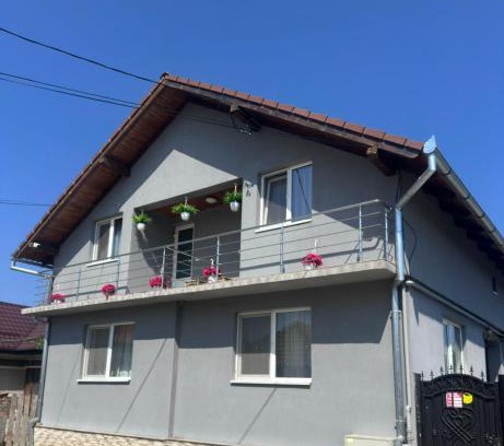 Cartisoara Casa | CTA House