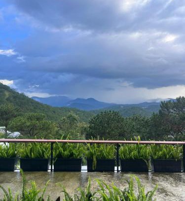 Da Lat Apartamento | Cuc ku homestay