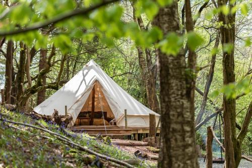 Dolanog Otro | Cuddfan Bach (The Little Hideaway) at Camp Plas