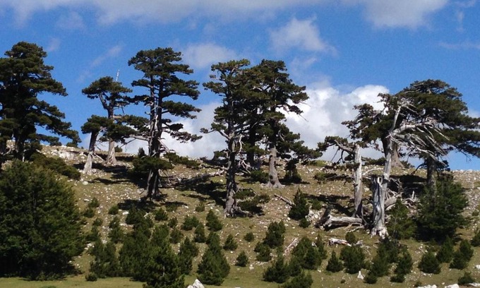 Viggianello Casa | "CUORE DEL POLLINO" Locazione turistica