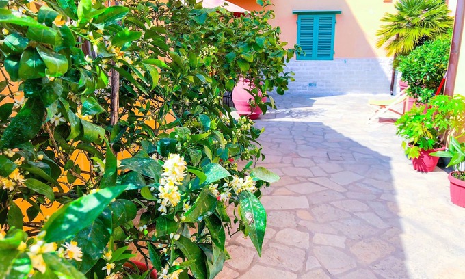 Nozzano Castello Apartamento | Cuore di Nozzano Castello