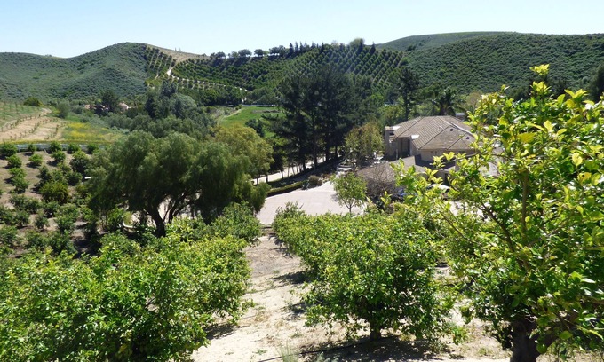 Somis Cabaña | Cute Cottage in Organic Lemon/Avocado Orchard - Southern California Farm Stay