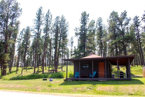 Rapid City Casa | Cute Creek-Side Cabin Nestled by Mount Rushmore in Rapid City