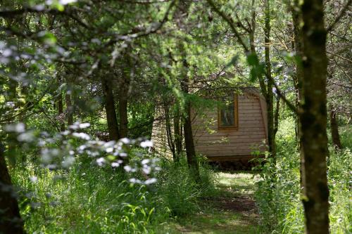 Milford Haven Otro | Cwtch Woodland Camp
