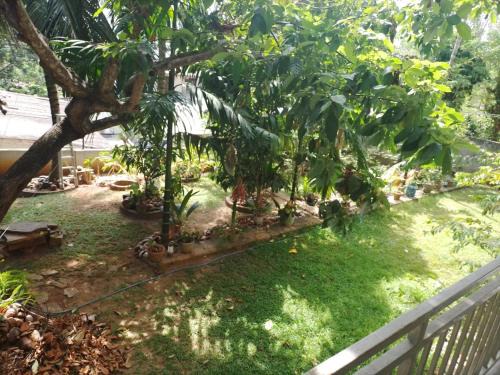 Menikhinna Casa | cyber city hotel kandy