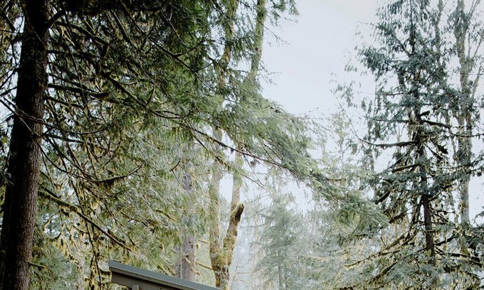 Gold Bar Cabina | CYCLOPS: A Cabin Escape in the Cascades