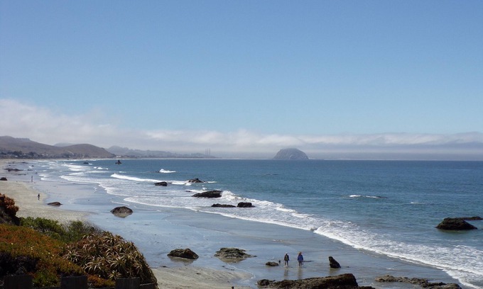 Cayucos Hotel | Cypress Tree Motel