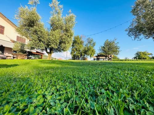 Podenzana Cama Y Desayuno | Da Gambin b&b