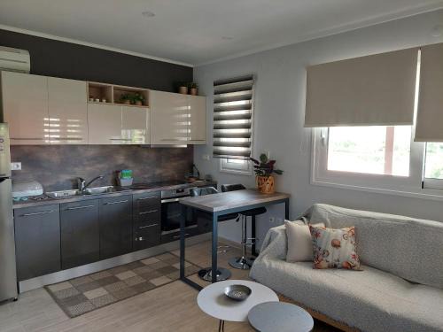 Nidri Apartamento | Daglas Summer Loft
