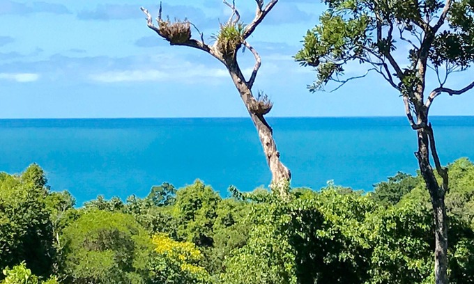Cow Bay Casa | Daintree Magic Holiday House