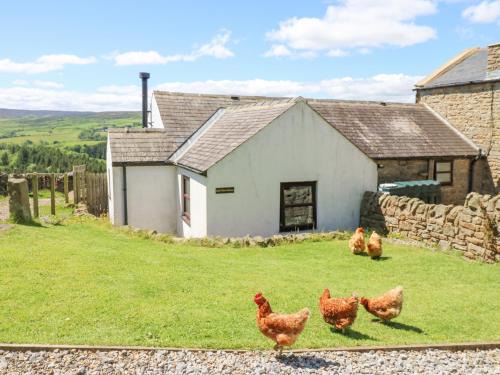 Allendale Casa | Dale View Cottage