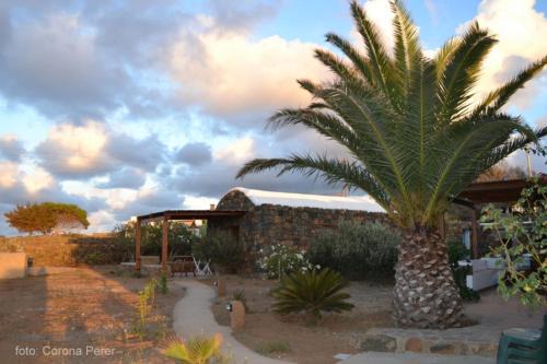 Pantelleria Casa | Dammuso Primavera
