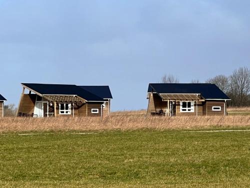 Kolding Municipality Otro | Dancamps Kolding City