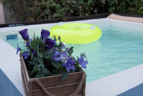 Tsagarada Casa | Dandy Villas Tsagkarada - Blue Pansy - Mini Pool