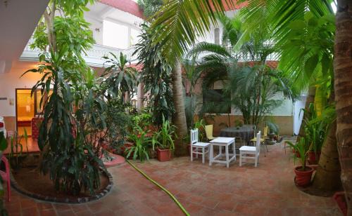 Mahabalipuram Beach Casa | Daphne Hotel