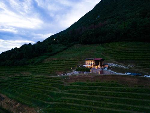Nimis Casa | Dario Coos srl - Azienda vinicola