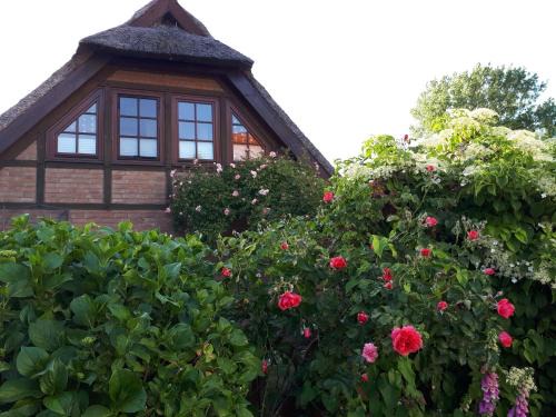 Bodstedt Apartamento | Darssblick