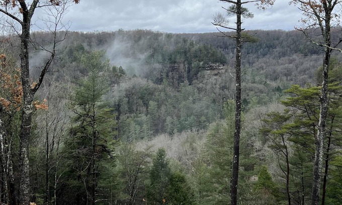 Rogers Cabina | Date Night Cabin - Romantic, Sauna, Views, Hot Tub