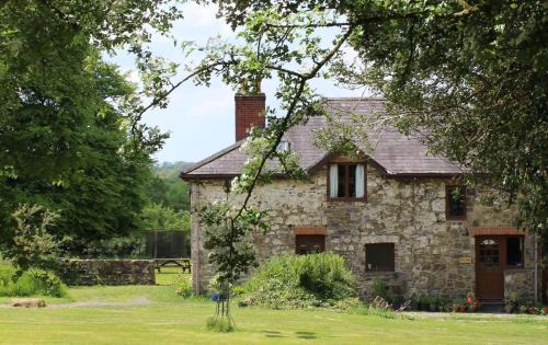 Whitland Casa | David's Organic Farm Wales