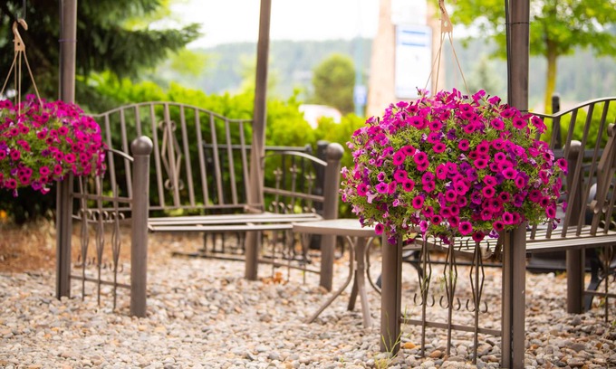 Coeur d'Alene Hotel | Days Inn by Wyndham Coeur d'Alene