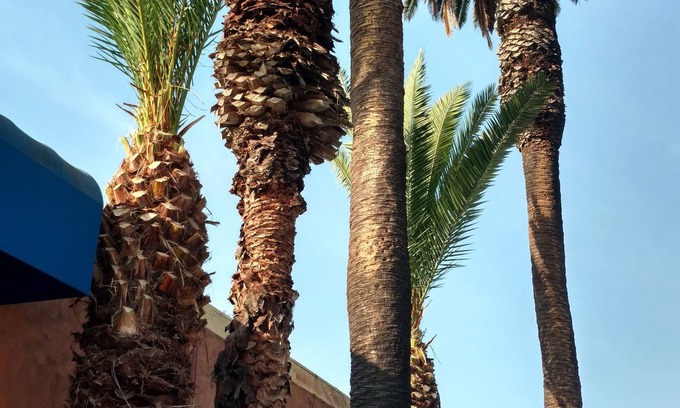 Inglewood Hotel | Days Inn by Wyndham Los Angeles LAX/VeniceBch/Marina DelRay