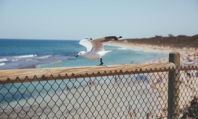 Daytona Beach Casa | Daytona! Never Boring, Always Fun! Enjoy non-stop!