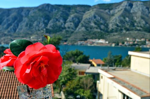 Kotor Apartamento | DC Apartment C