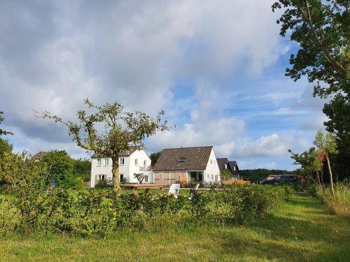 Oostkapelle Casa | De Bonte beleving