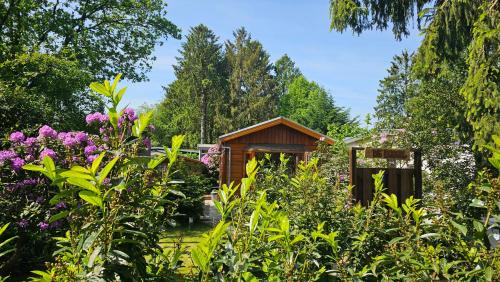 Krachtighuizen Casa | De Bosuil