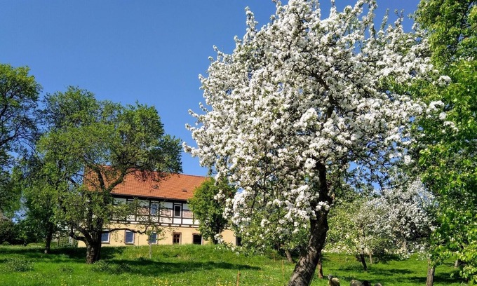 Waschleithe Apartamento | Vrbo Property