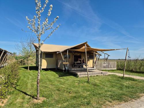 Kekerdom Otro | De Hazelaarshof- luxe XL-glampingtent (7-8 personen) nabij De Millingerwaard