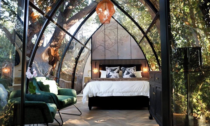 Montagu Apartamento | De Nest - Clear glass Tree cabin in Montagu