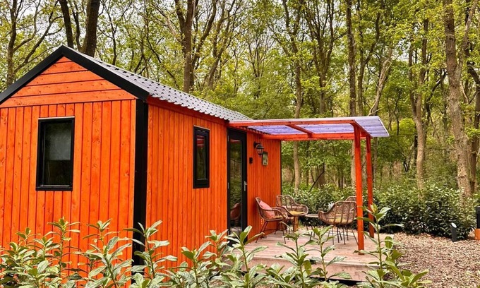 Zuidwolde Chalet De Esquí | De Sluus in de Natuur