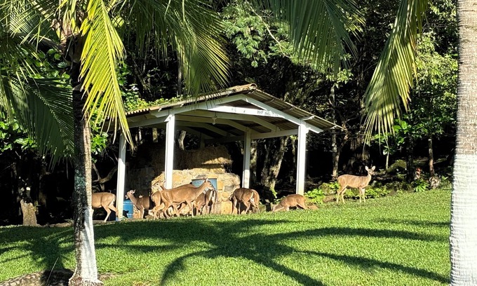 Alajuela Casa | Deer Creek Estate near Juan Santamaria International Airport.