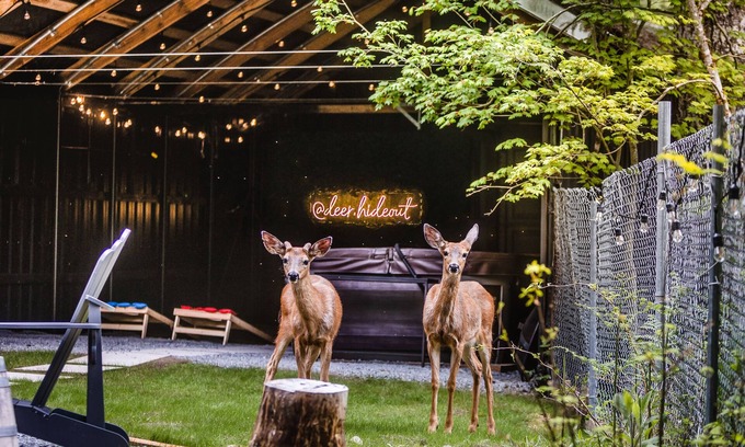 Paradise Estates Cabina | Deer Hideout - King bed/HS WiFi/Hot Tub/Fire Pit