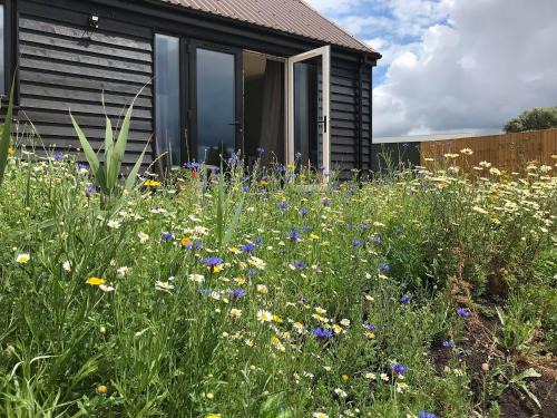 Huntingdon Casa | Deer Lodge - Ukc4325