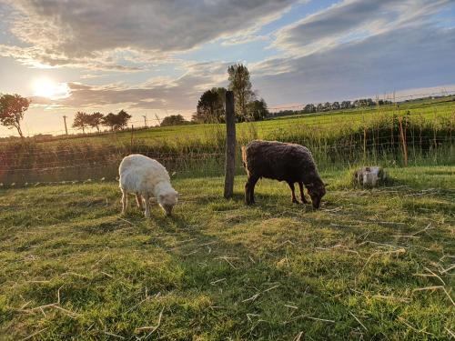 Horum Apartamento | Deichblick