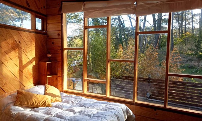Villa Gesell Cabina | Del Bosque Surf Ranch